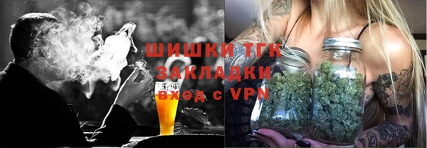 крисы Богородицк