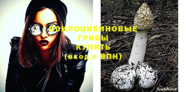 крисы Богданович
