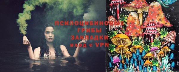 крисы Богданович