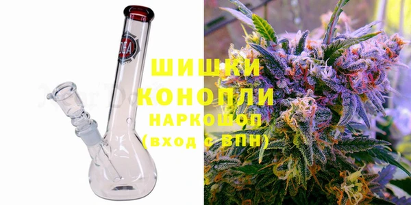 крисы Богородицк