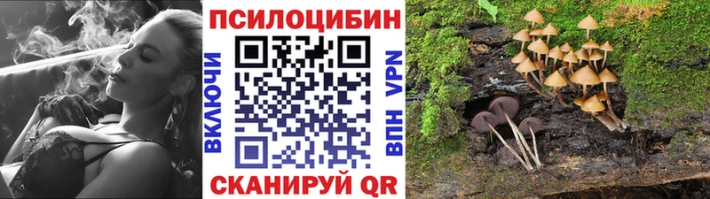 Псилоцибиновые грибы прущие грибы  где найти   Козельск 